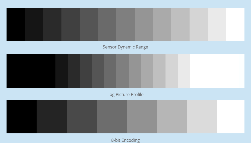 4_12-sensor-dynamic-range_log-picture-profile_8bit-encoding 4_12-sensor-dynamic-range_log-picture-profile_8bit-encoding